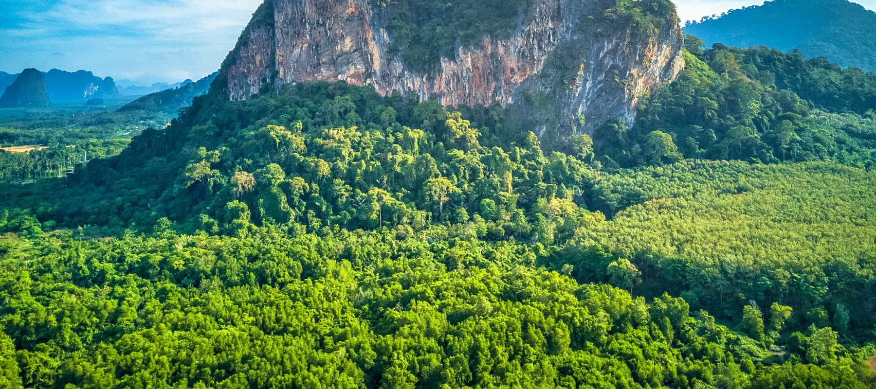 coffee farm vietnam robusta berserker