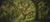 Yggdrasil - Weltenbaum der nordischen Mythologie