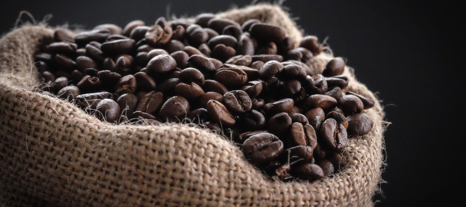 Arabica vs. Robusta Kaffee | Was sind die Unterschiede?
